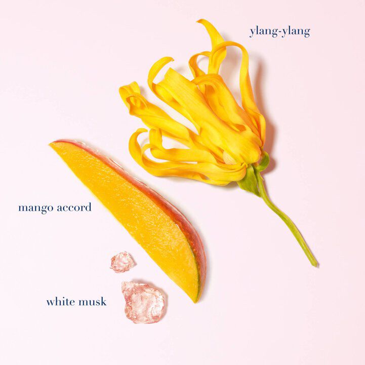 亞曼尼MY WAY淡香精 晨曦版